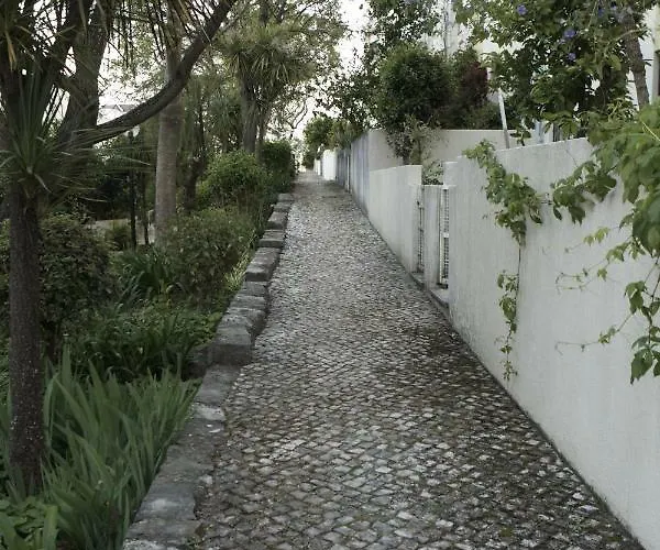 Apartment Happily Ever